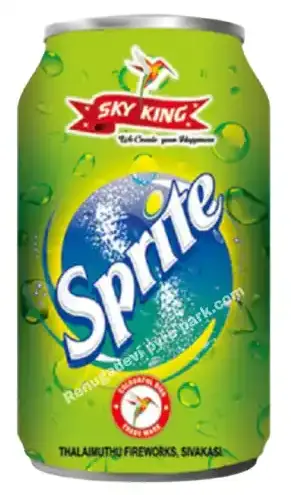 SkyKing(Sprite)